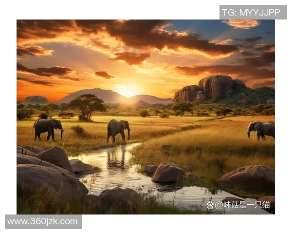 AI创作绿茵传奇画卷展现足球球星风采魅力